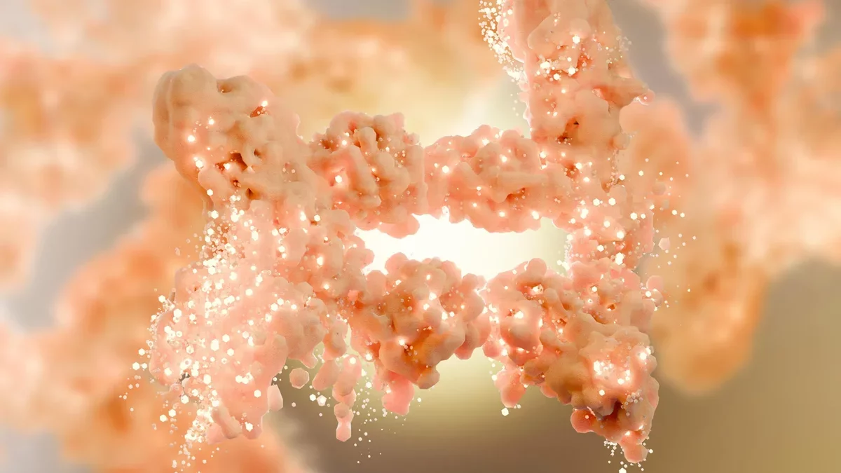 Revolutionary Findings in Fat Metabolism Challenge Long-Held Beliefs