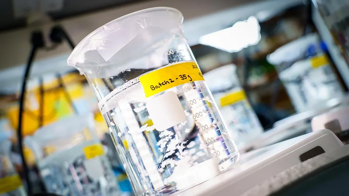 Innovative Biomaterial Revolutionizes Tissue Repair from Within
