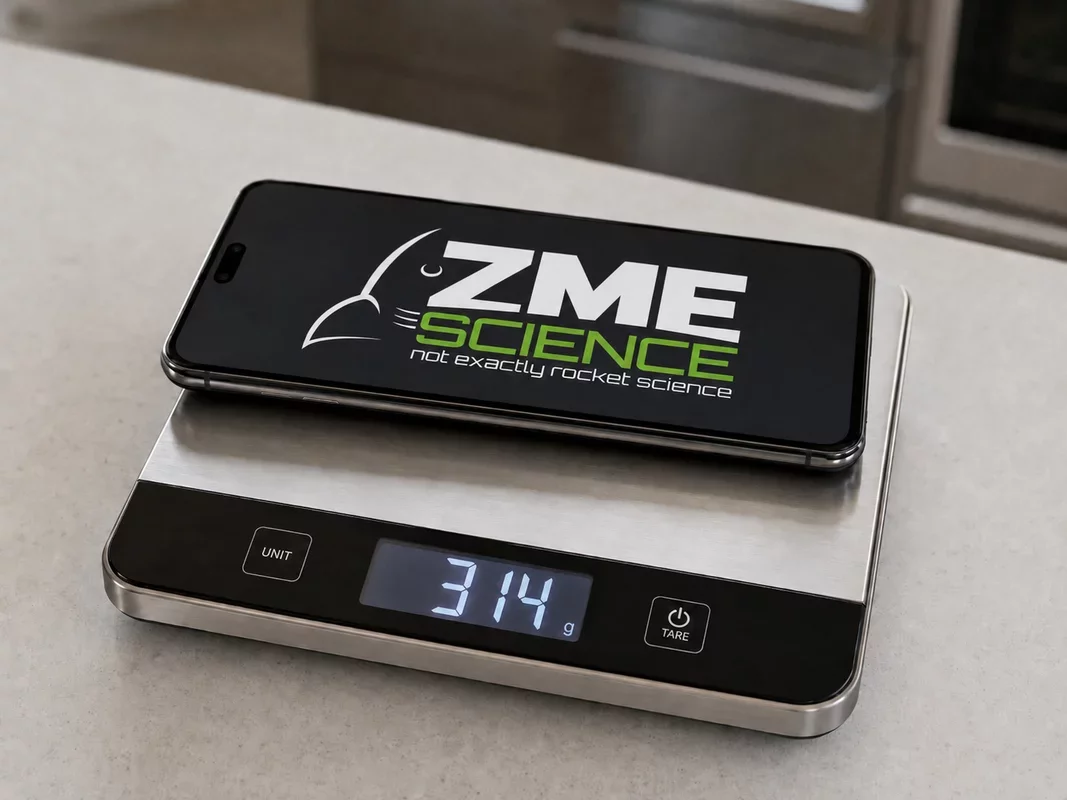 The Hidden Weight of Data: How Your Phone Gains Mass