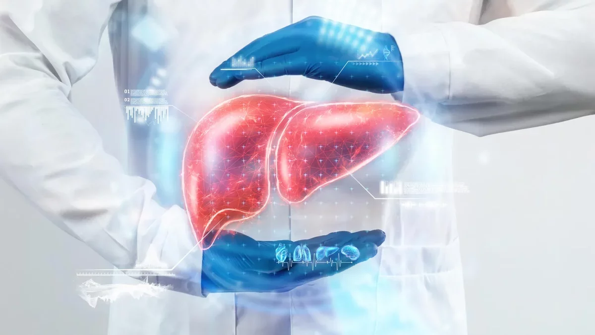 Revolutionary Study Reverses Liver Aging Using Young Gut Bacteria