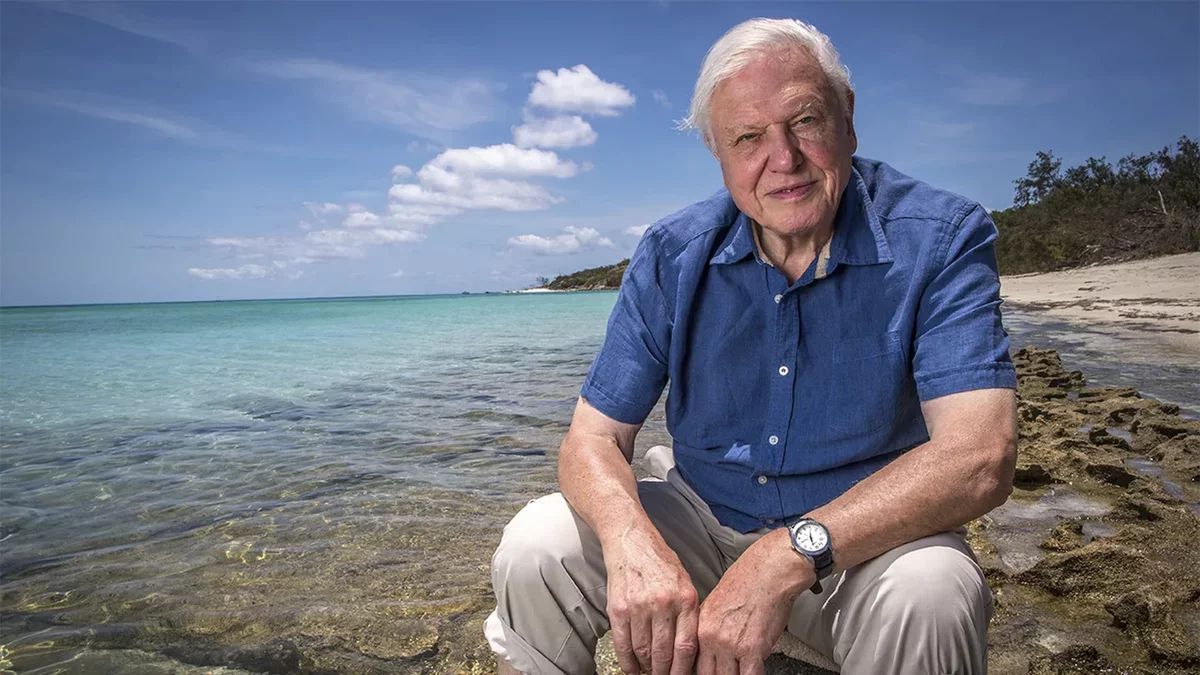David Attenborough Celebrates 100 Years of Inspiring Nature Lovers