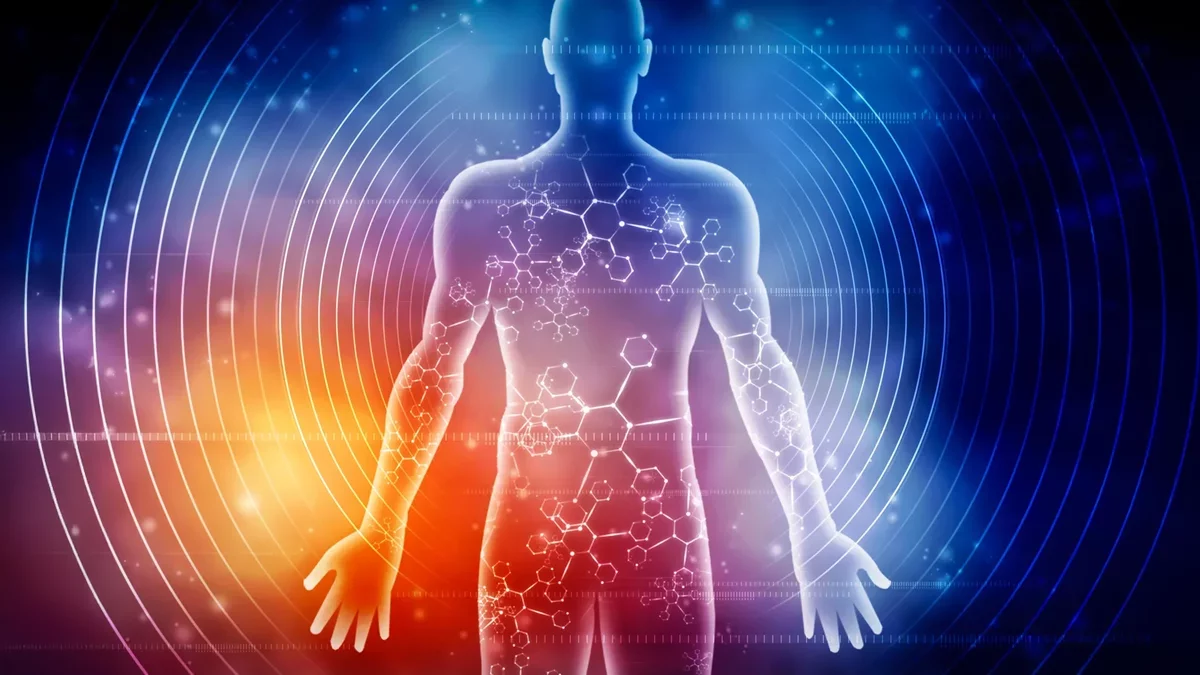 Groundbreaking Study Unveils the Transformative Effects of Seven Days of Fasting on the Human Body