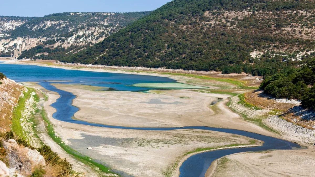 Global Rivers Face Oxygen Decline: A Call for Action