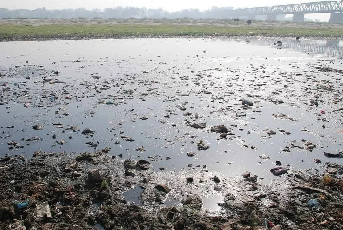 The Global Challenge of River Health Amid Climate Change