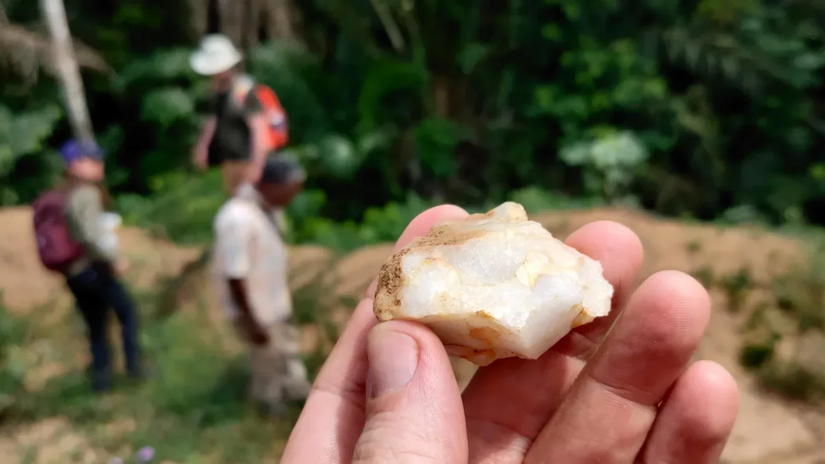 Rainforest Discovery Challenges Human History Narratives