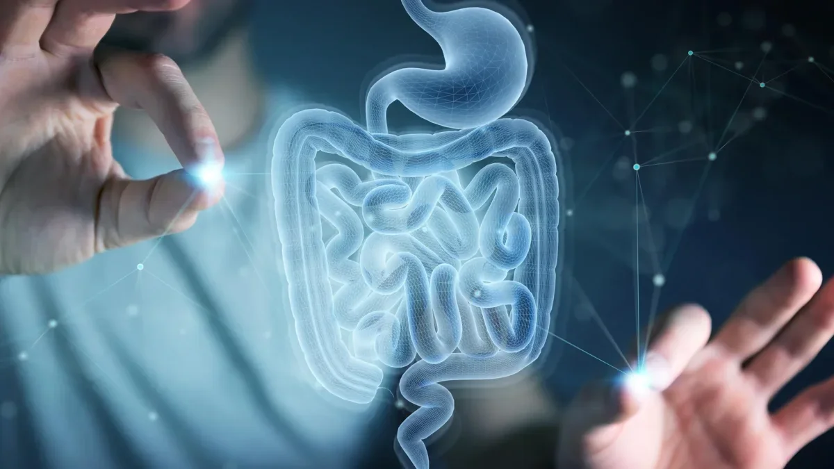 MIT Researchers Uncover Amino Acid That Aids Gut Healing