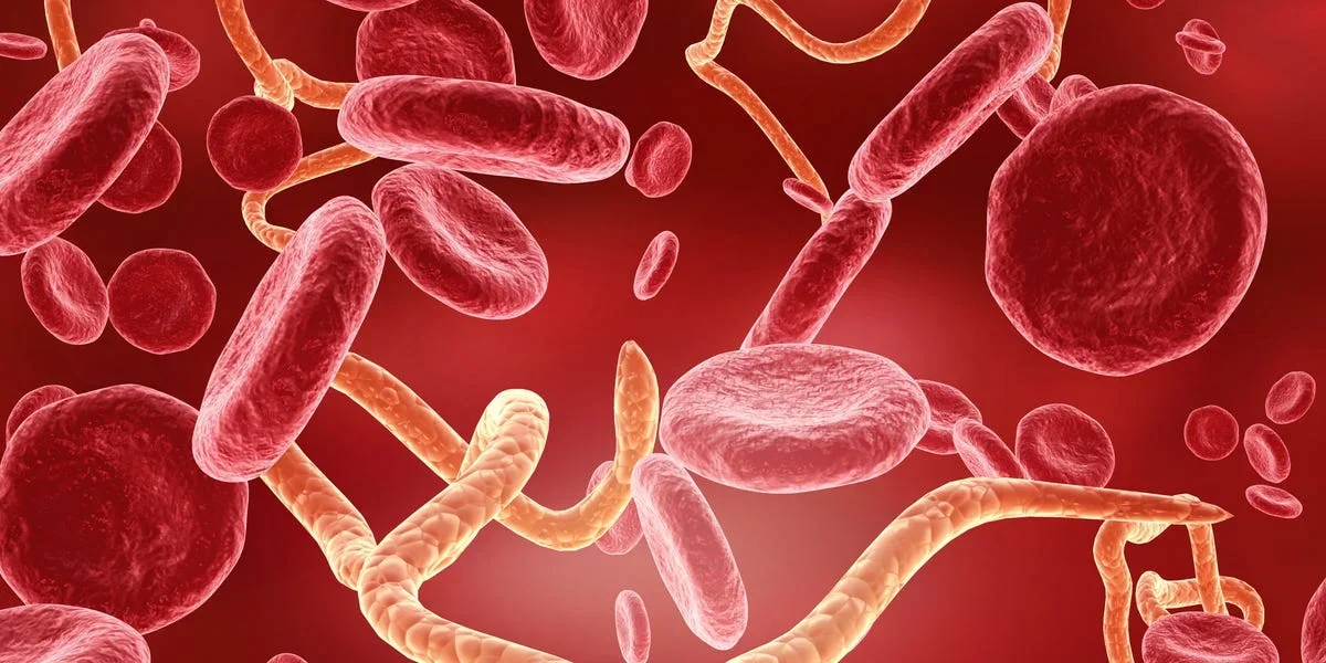 Understanding the Spread of the New Ebola Strain