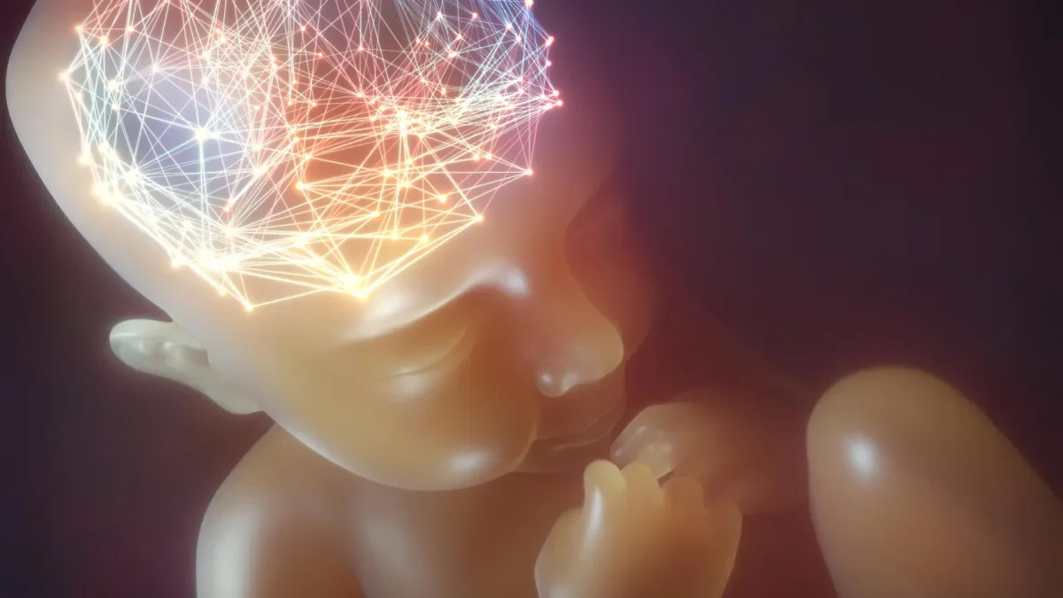 New Insights on Pesticide Impact on Brain Development