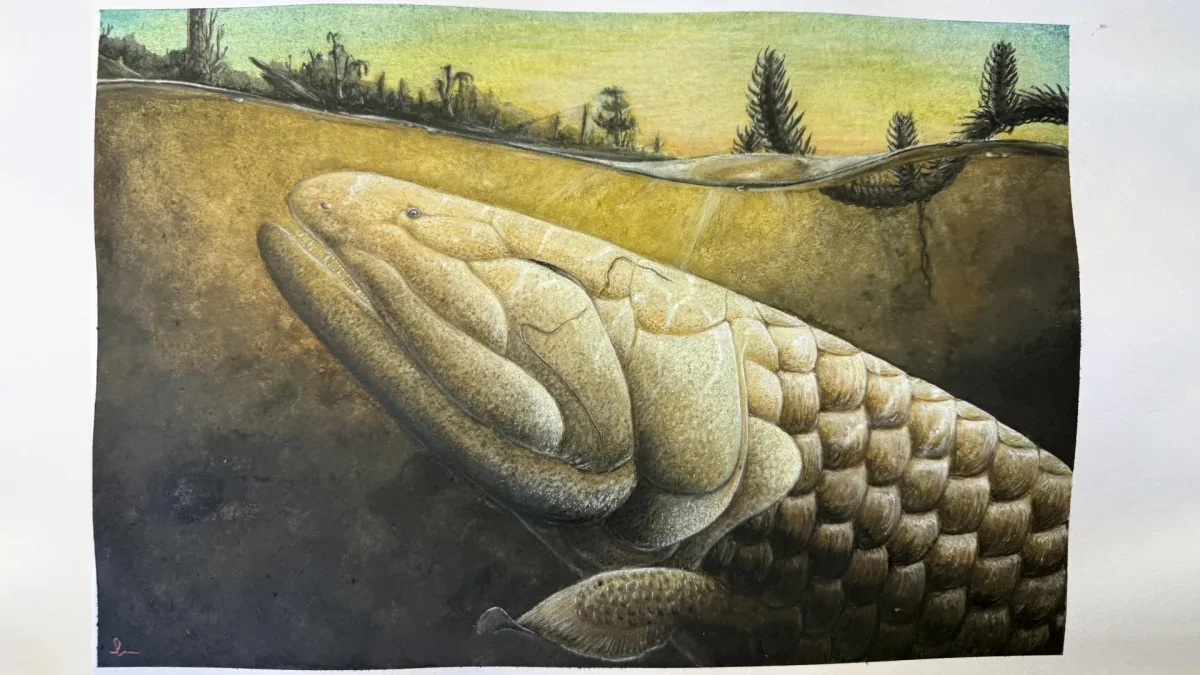 Prehistoric Fish Offers Insights into Evolution of Land Animals