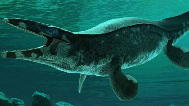 A New Marine Predator: Tylosaurus rex Unveiled
