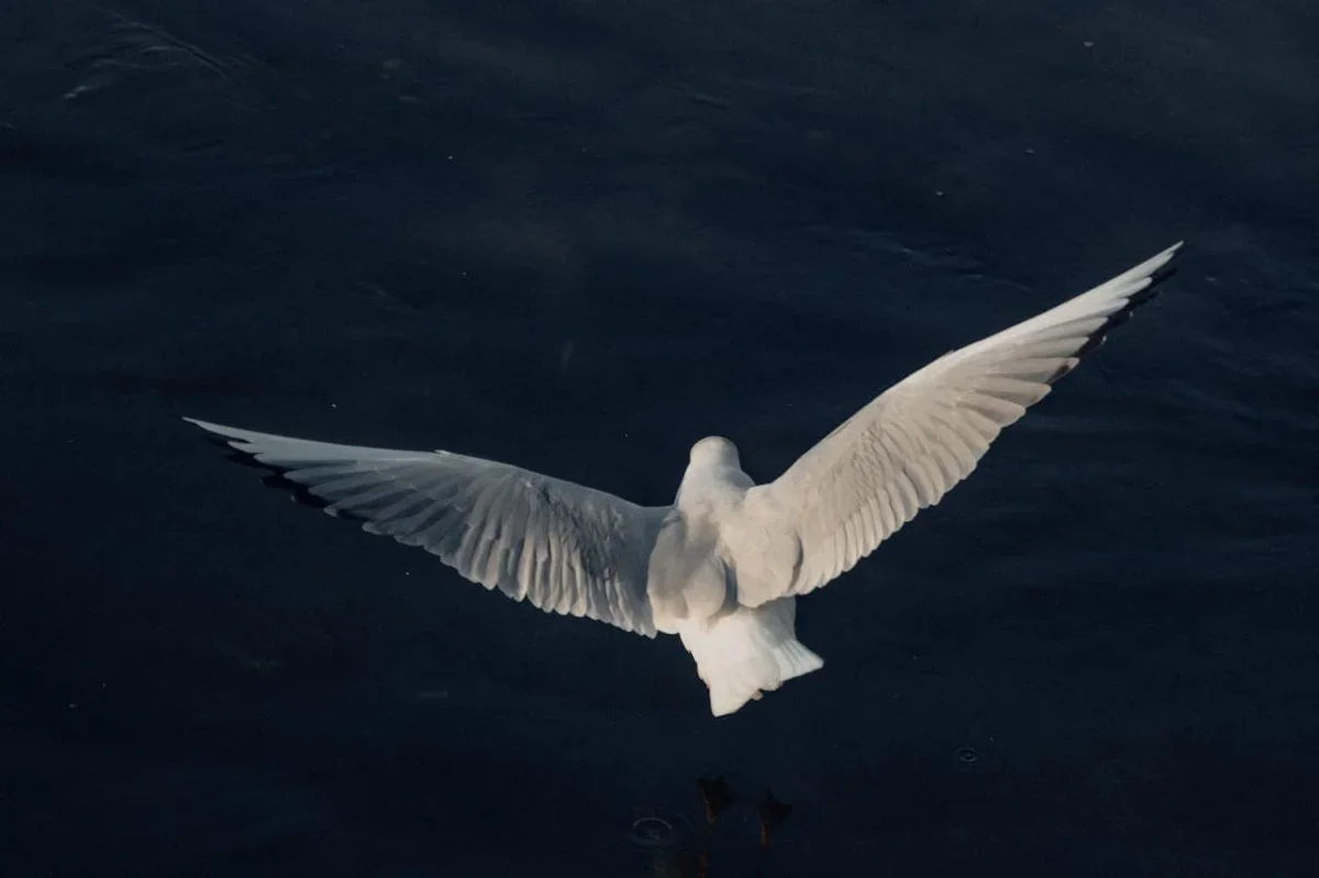 Virtual Reality Wings Transform Brain Perception in Groundbreaking Study