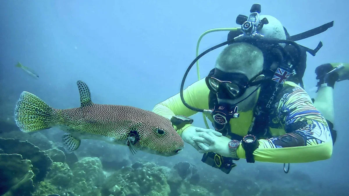 Scuba Divers Unwittingly Impact Coral Reefs: A Study Unveils the Underwater Dunning-Kruger Effect
