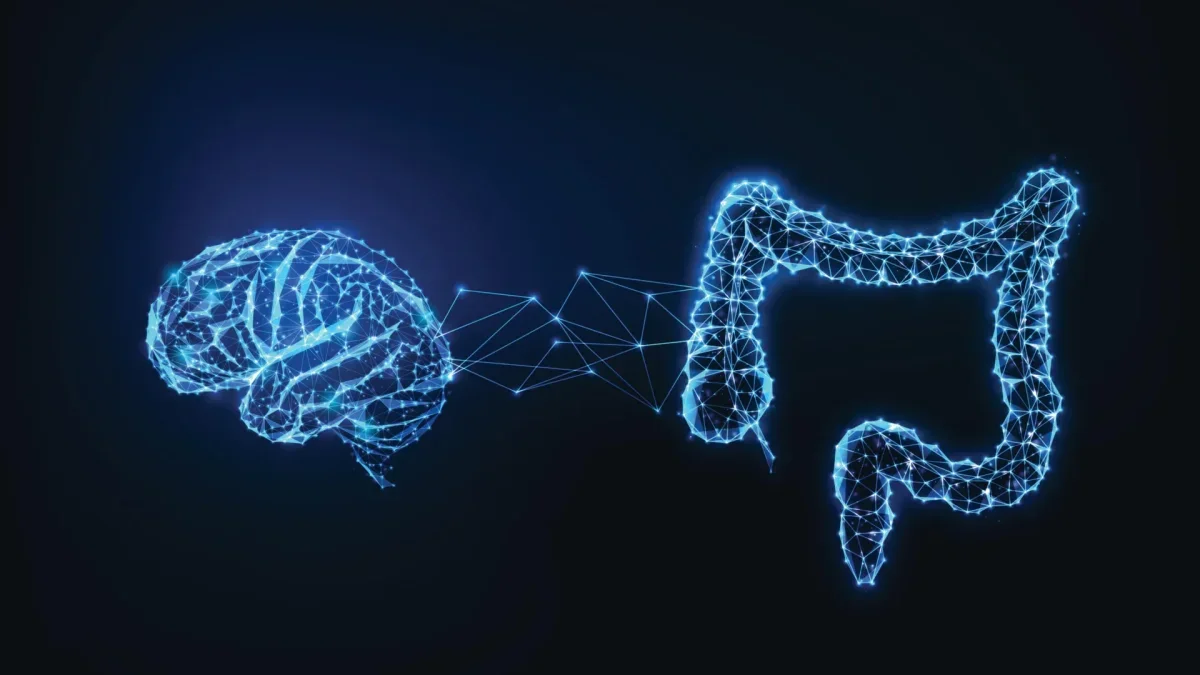 Breakthrough Discovery Reveals Gut-Brain Connection Influencing Protein Cravings