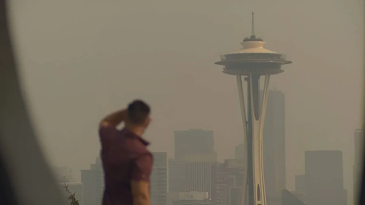 Impact of Wildfire Smoke on Urban Violence: A New Study