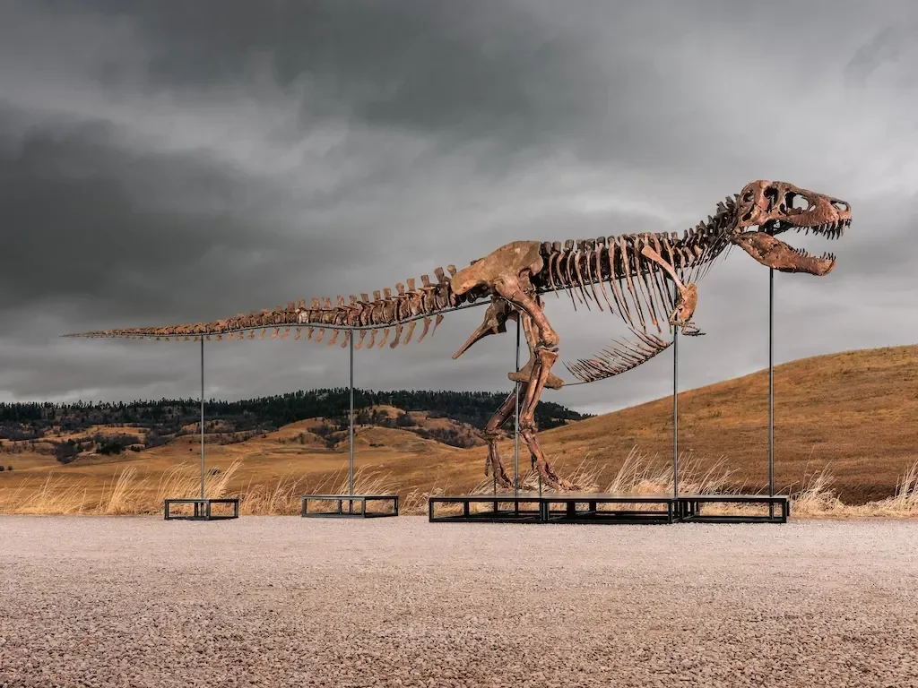 Dinosaurs Emerge as Luxury Collectibles: Sotheby's to Auction $30 Million T. rex