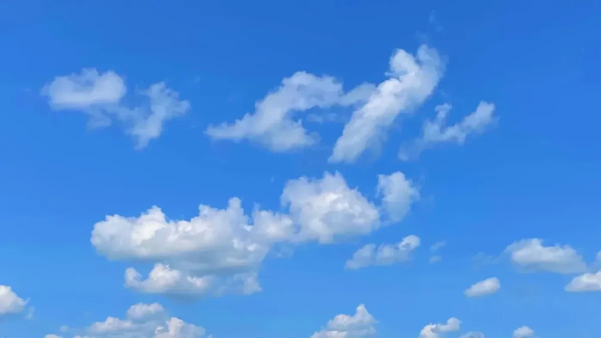 Bluesky Expands to Long-Form Content, Challenging X's Model