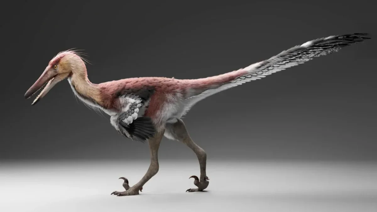 Newly Discovered Raptor Offers Insight into Ancient Ecosystems
