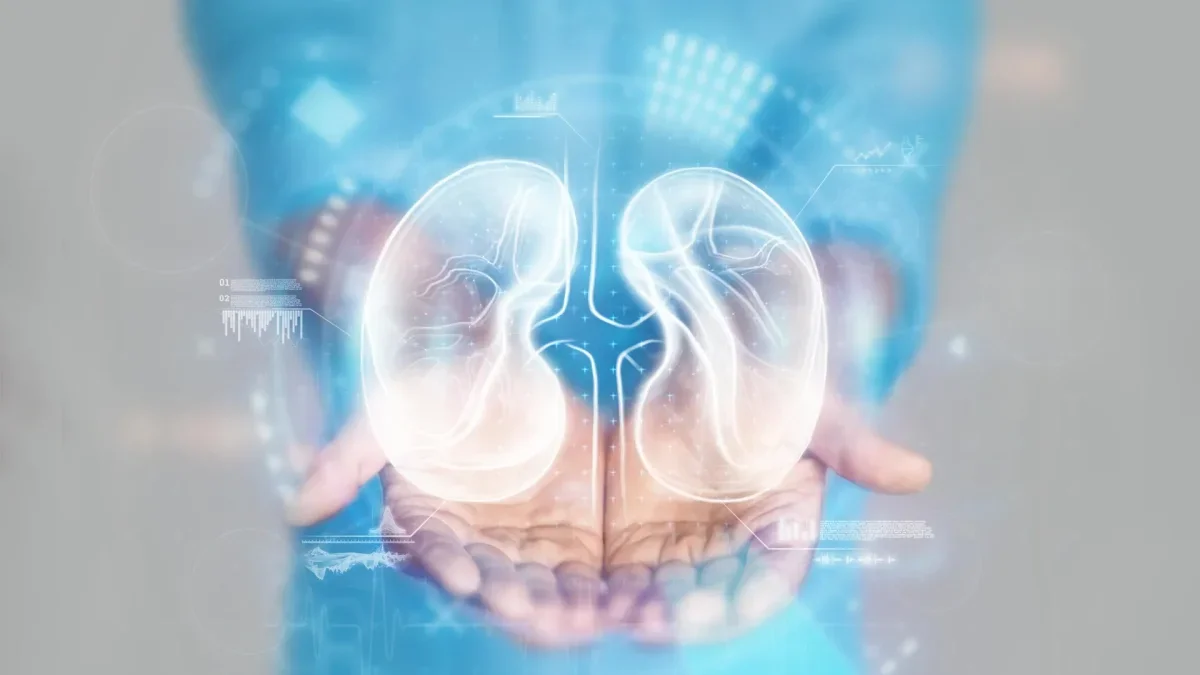 Emerging Global Focus on Chronic Kidney Disease
