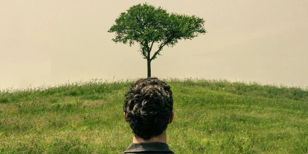 Nature-Maxxing: A New Approach to Stress Relief Through Nature