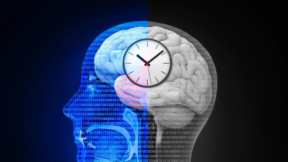 Intermittent Fasting Reveals Intriguing Brain Changes