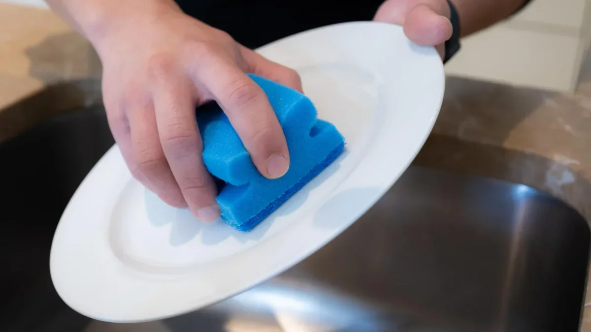 Microplastics from Kitchen Sponges: A New Study Reveals Surprising Findings