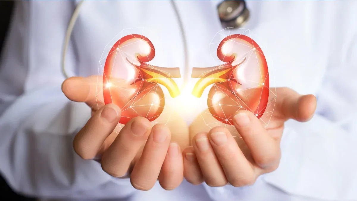Kidney Drug Finerenone Shows Promise for Millions with Chronic Kidney Disease