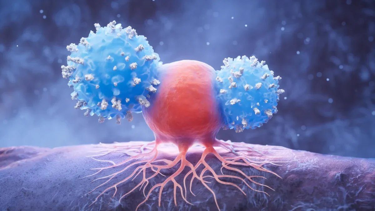 Breakthrough in Cancer Immunotherapy: New Antibodies Target SLAMF6