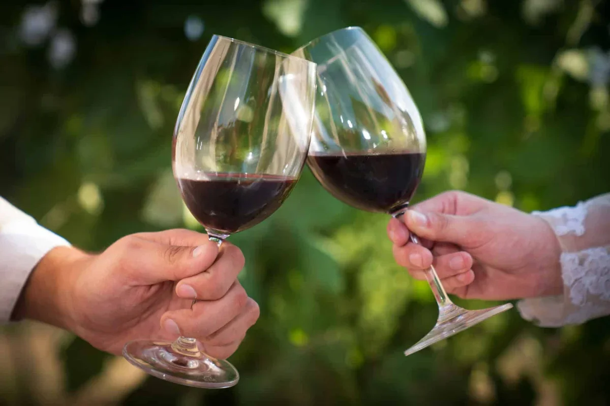 New Study Challenges Traditional Views on Moderate Alcohol Consumption