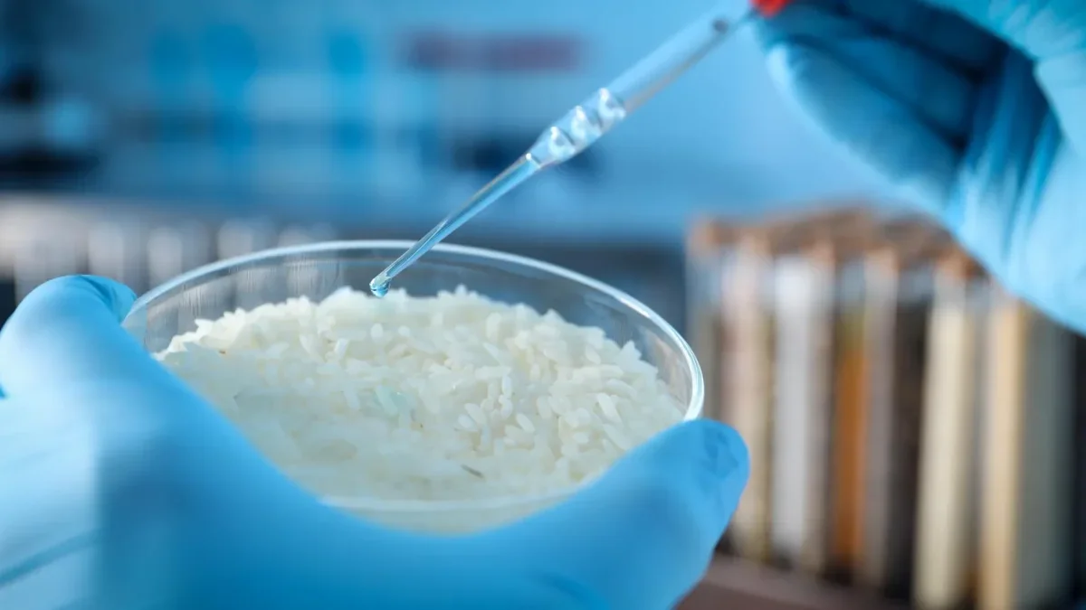 Scientists Unveil Innovative Smart Material Derived from Rice