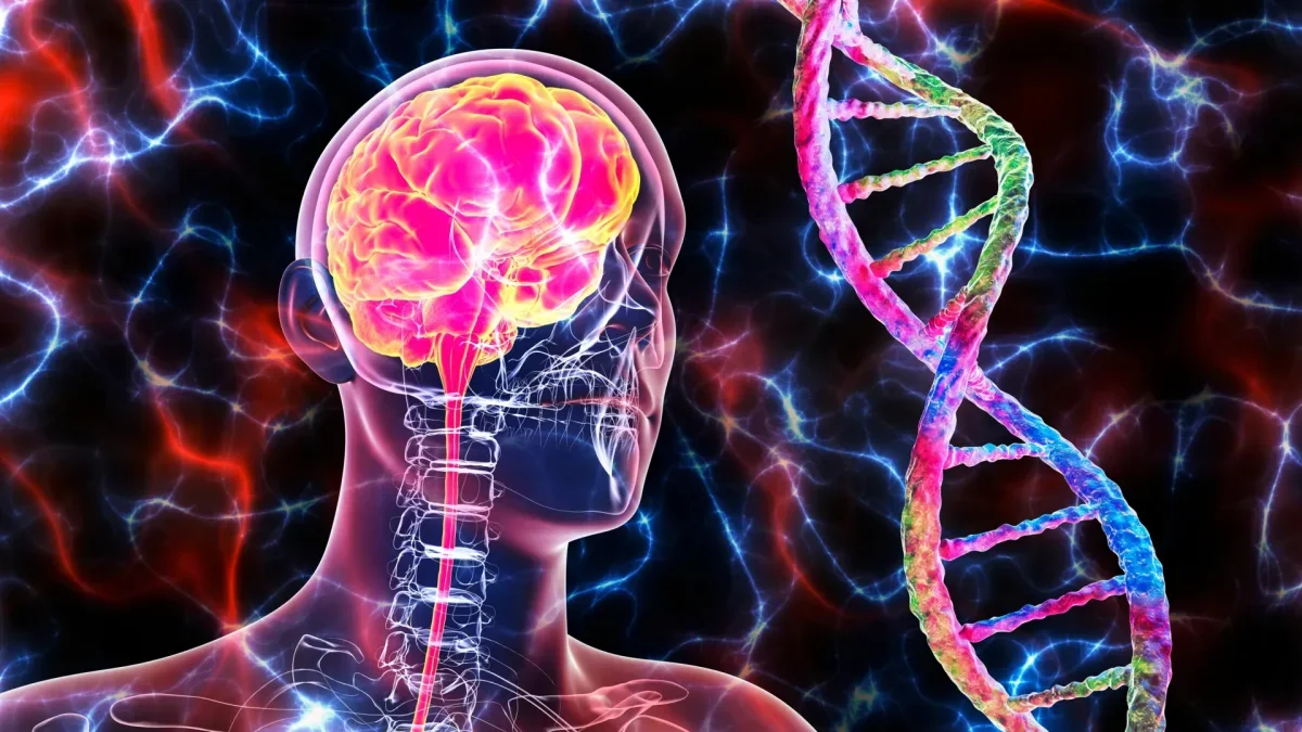 New Insights on Alzheimer's Disease: Cancer Mutations Discovered