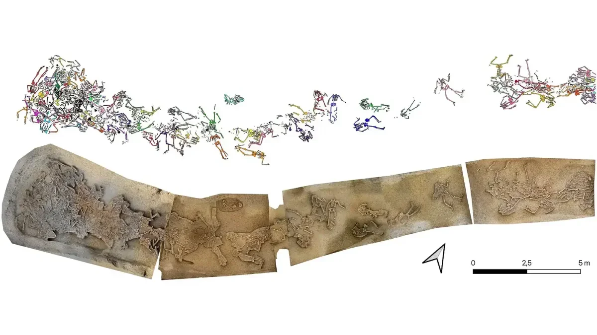 Archaeologists Reassess 7,000-Year-Old Headless Burials in a Slovakian Neolithic Village