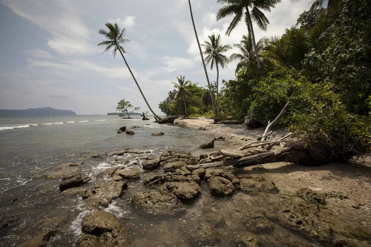 Pacific Islanders Carry One of Humanity's Oldest Genetic Legacies