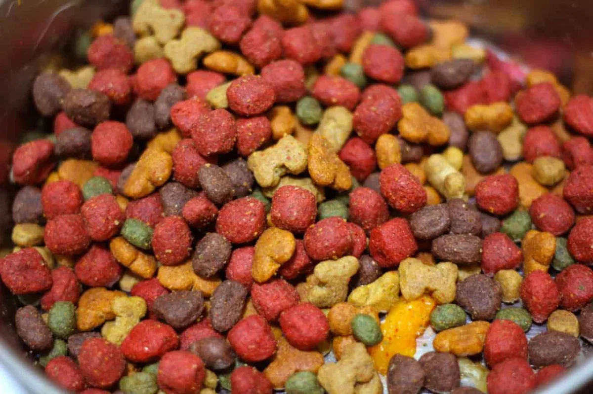Study Finds Microplastics in Most Pet Food Brands Tested