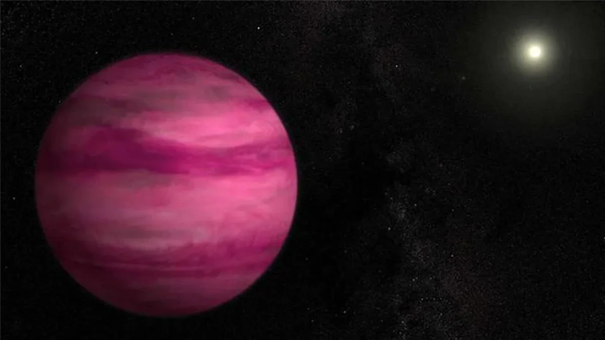 JWST Solves the Pink Planet Puzzle: Salt Clouds Explain GJ504b's Strange Atmosphere