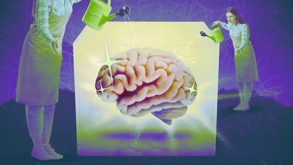 "Brain Health" Neyi İfade Ediyor? Bilim, Ölçüm ve Pazarlama Arasındaki Fark