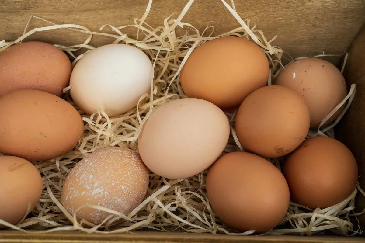 Why a British Supermarket Is Switching from Brown Eggs to White