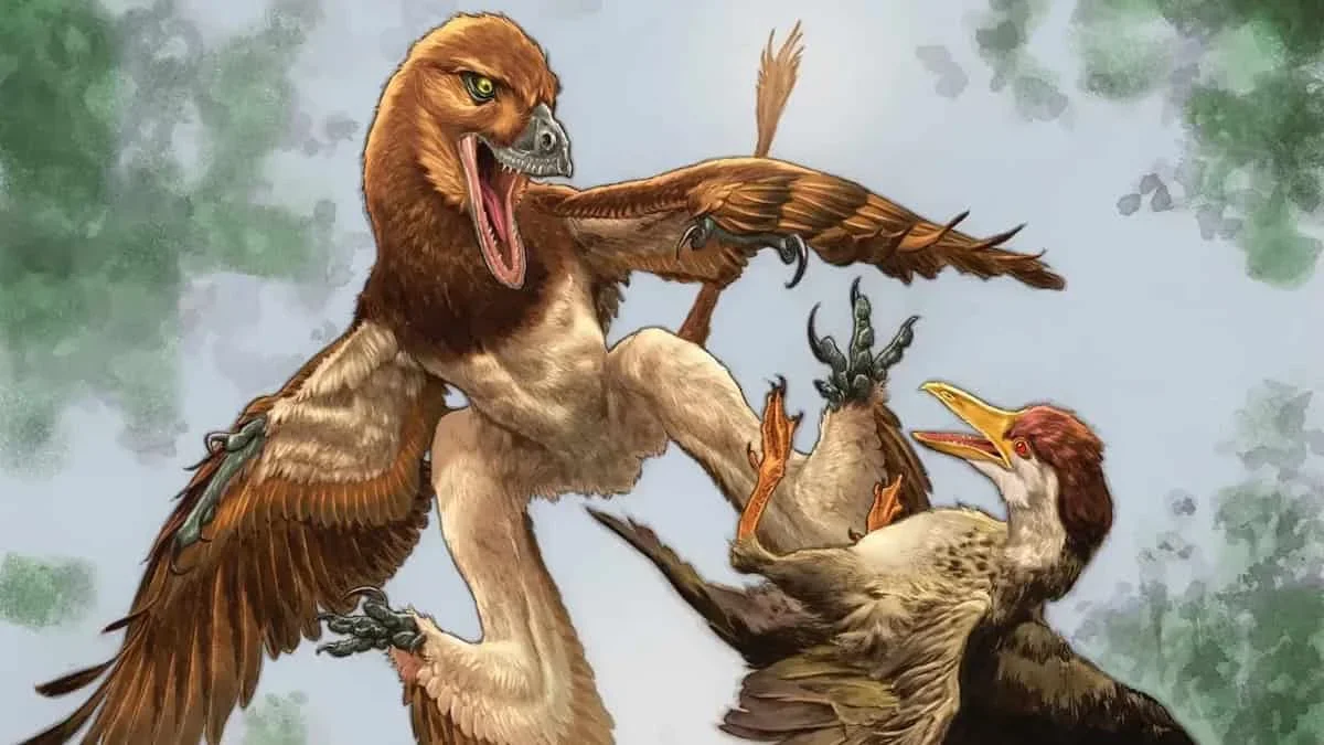 120 Million-Year-Old Fossil Suggests a Feathered Predator May Have Targeted Early Birds