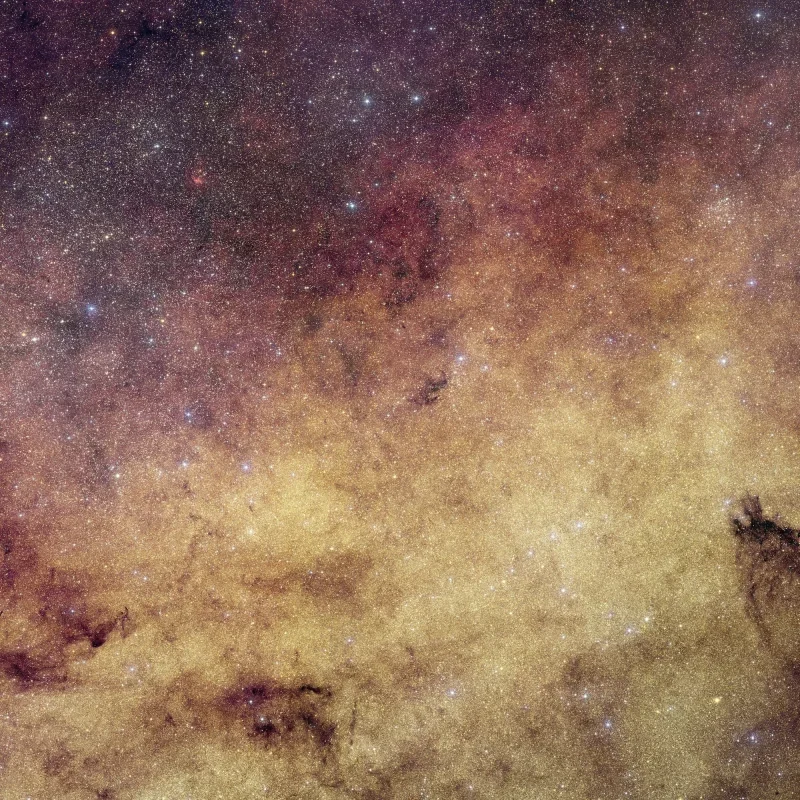 Euclid Reveals the Milky Way's Most Detailed Galactic Bulge View