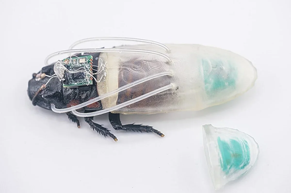 Tiny Diving Suit Helps Cyborg Cockroaches Move Underwater for Hours