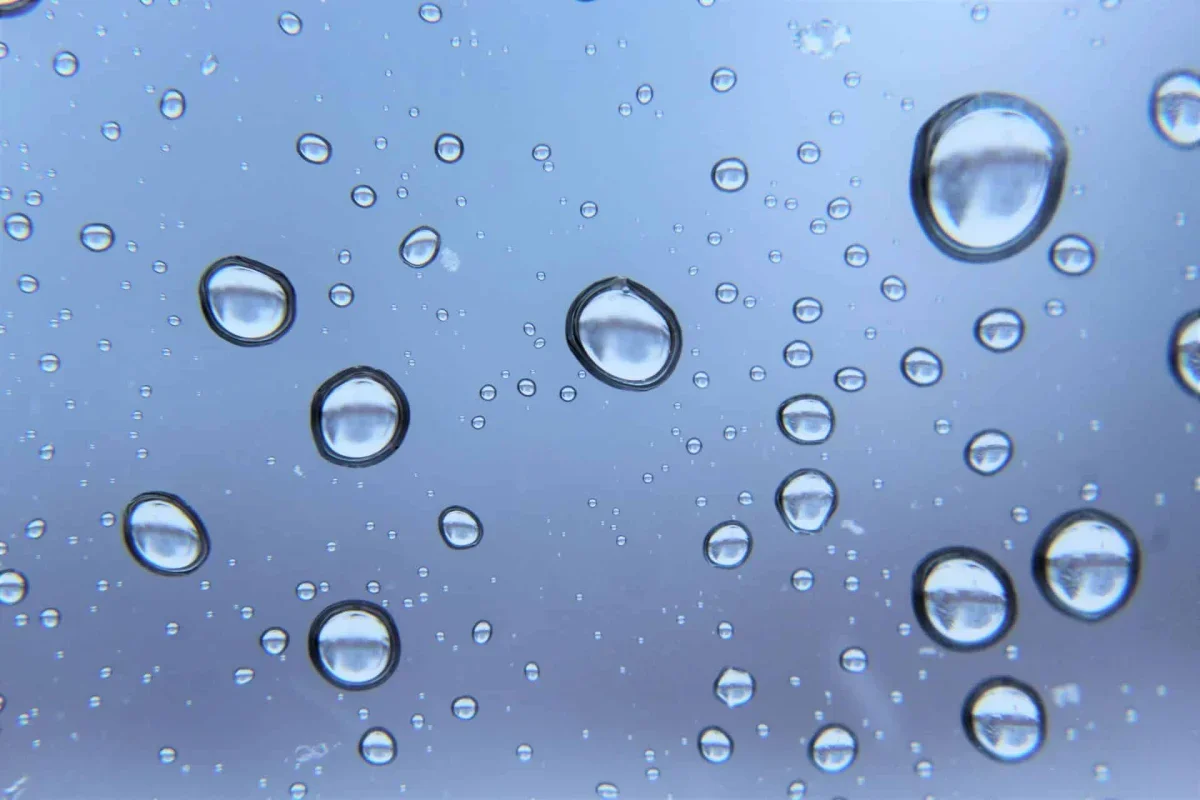 AI Uncovers Two Hidden Molecular States in Water