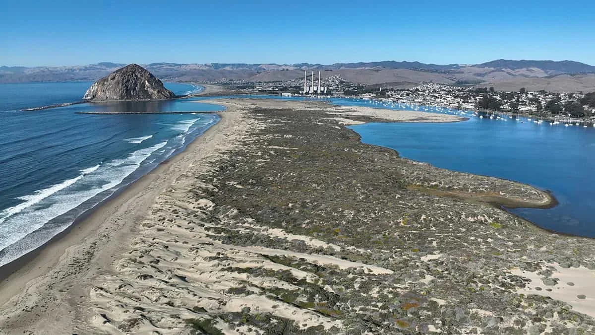 California's Coastal Dunes Are Shrinking, and Scientists See a Clear Warning
