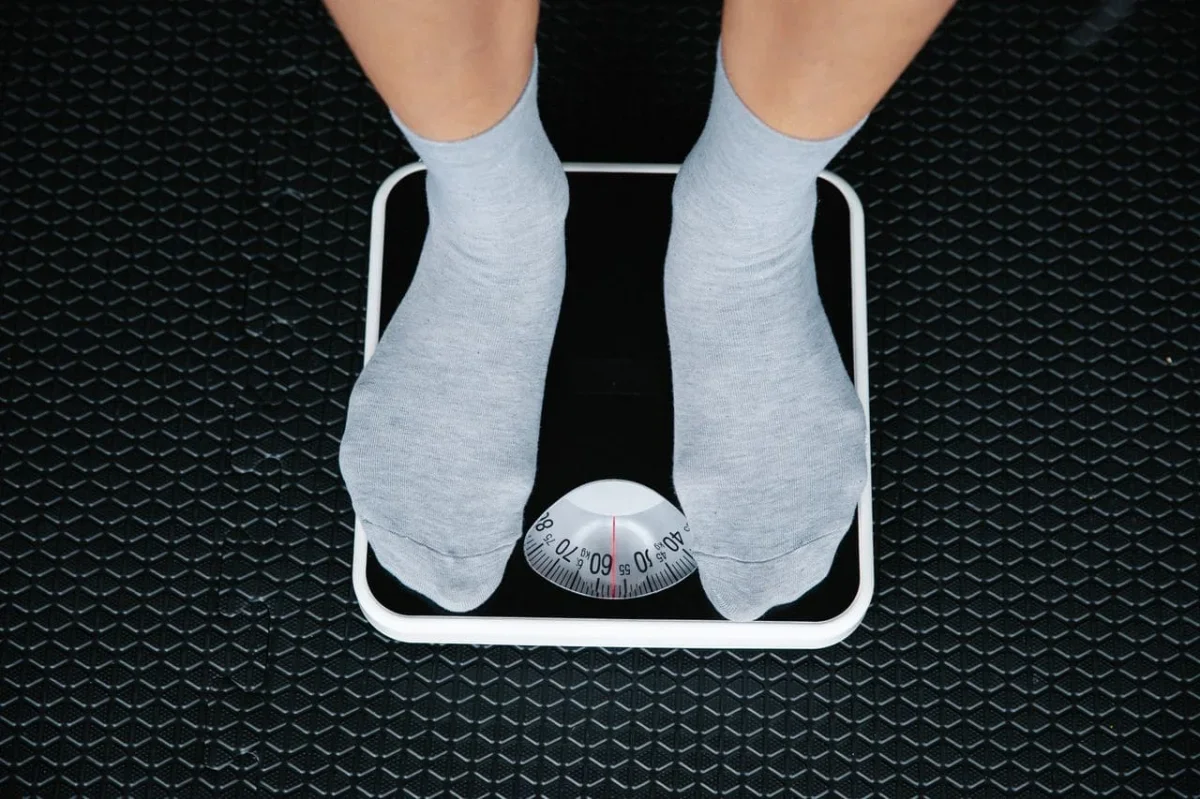 Turning Off MTCH2 Helped Mice Resist Obesity -- and Human Cells Show Why