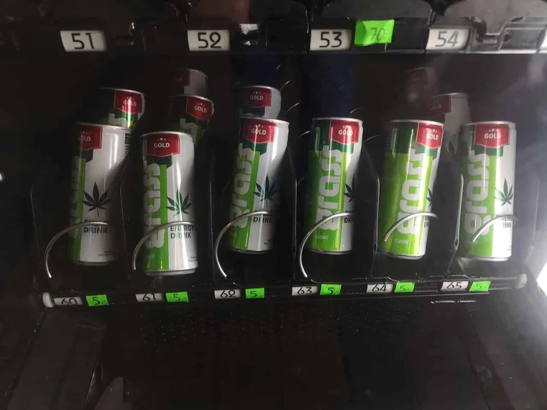 Cannabis Drinks May Offer Some Adults a Lower-Alcohol Alternative
