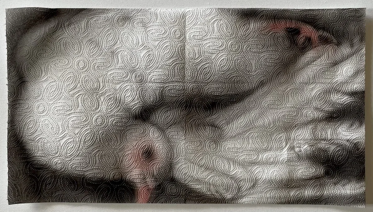 Helena Minginowicz Turns Paper Towels into Poetic Portraits