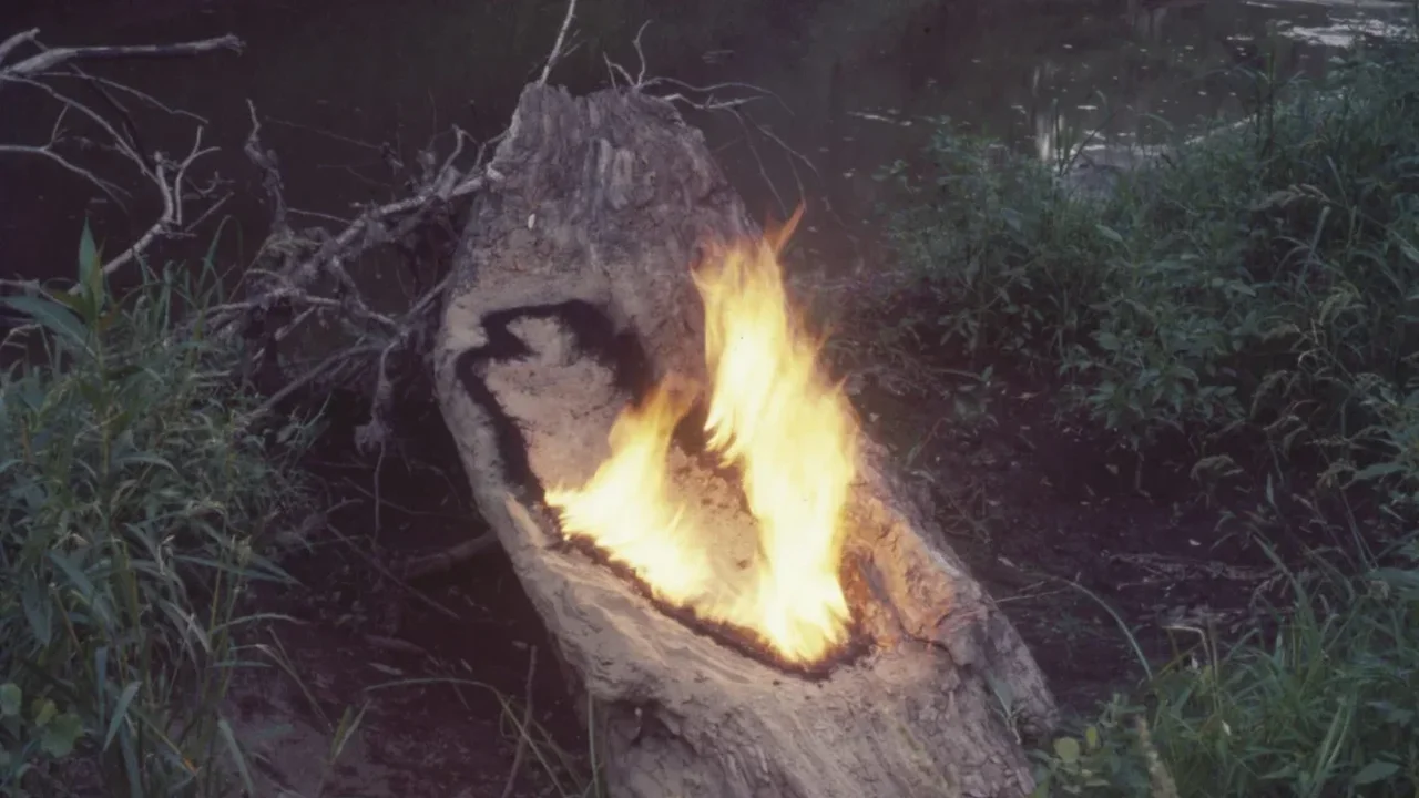 Ana Mendieta's Earth-Body Art Takes Center Stage at Tate Modern