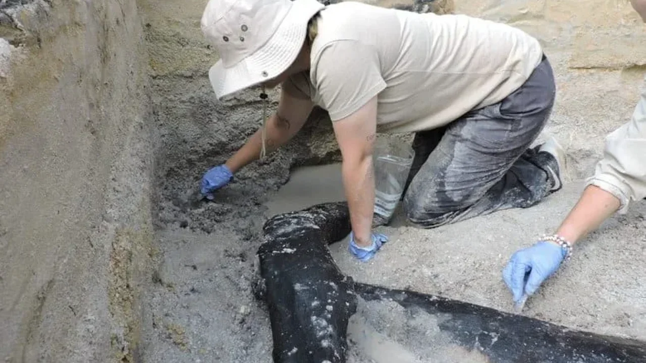 Zambia's Ancient Wooden Structure Redraws the Story of Early Human Innovation