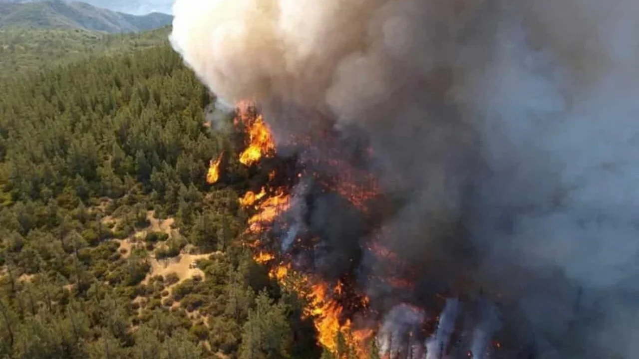 FireSat Satellites Aim to Detect Wildfires Earlier From Orbit