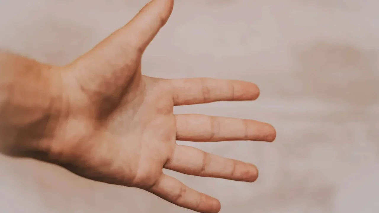 Why Finger Lengths Differ and What That Means for the Human Hand