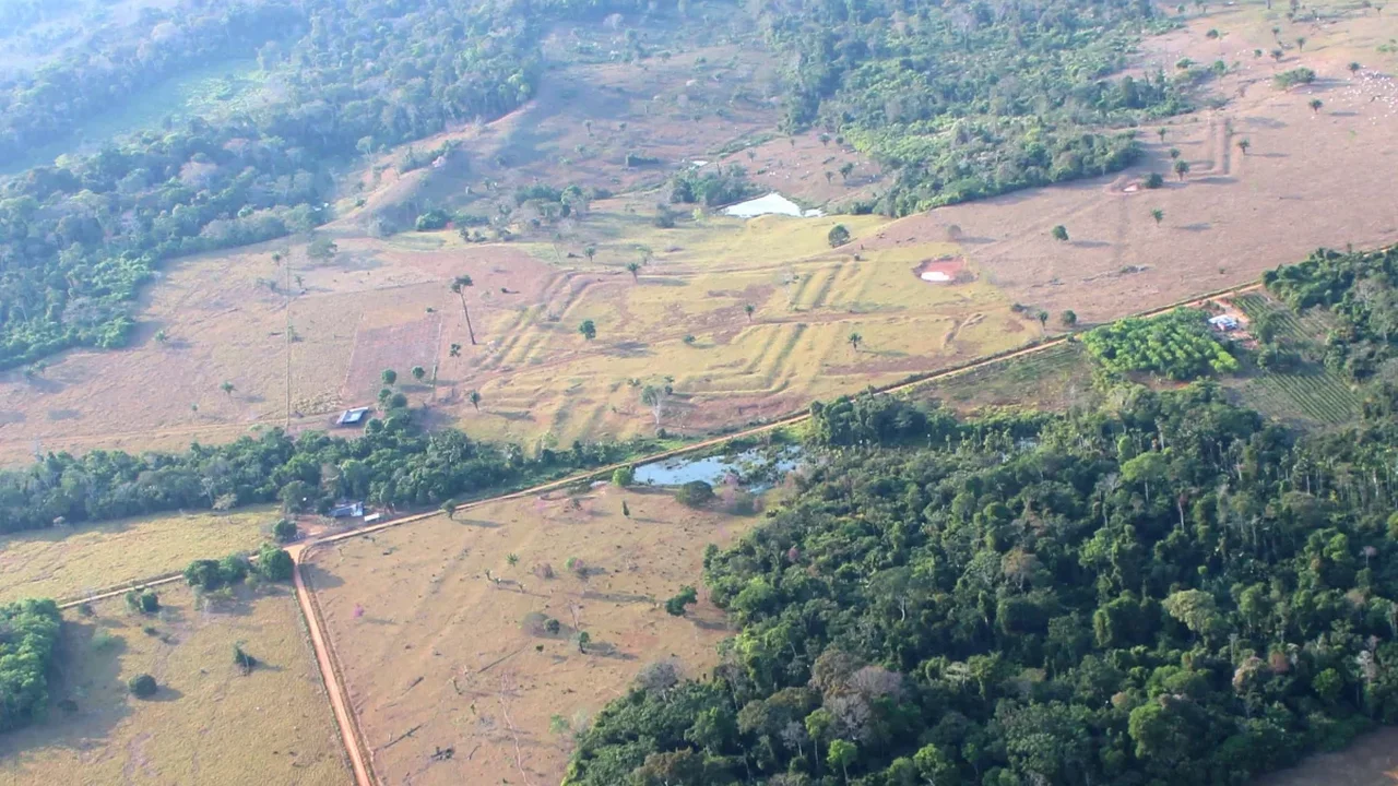 Laser Survey Reveals a Hidden Ancient Landscape Beneath the Amazon