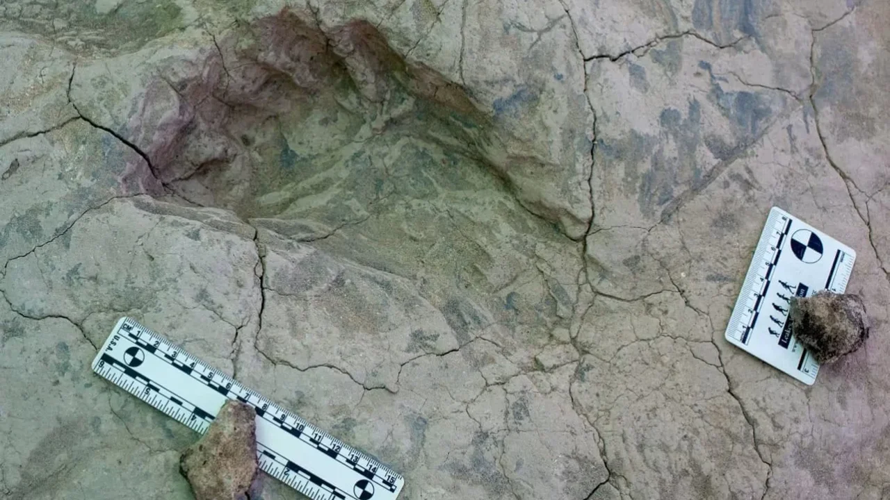 1.5-Million-Year-Old Footprints May Reveal a Much Larger Paranthropus boisei